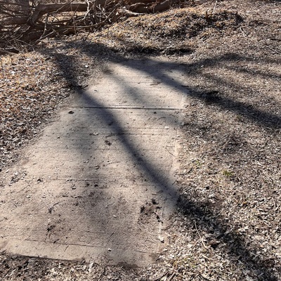 Needed landscaping
